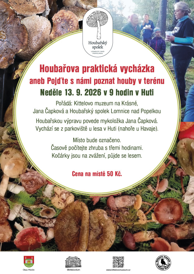 Houbařova praktická vycházka