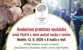 Houbařova praktická vycházka